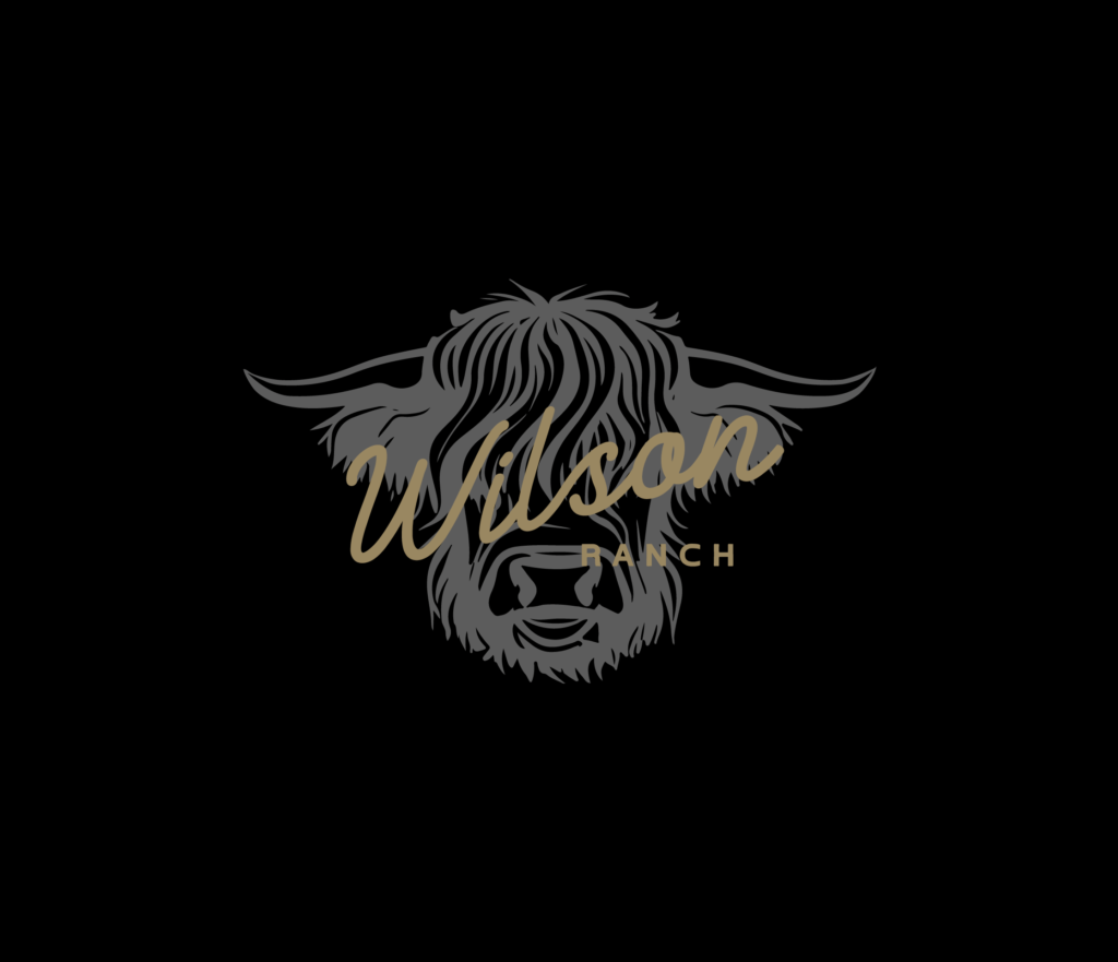 Wilson Ranch Logo Design Variation