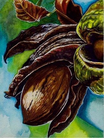 Karla-Noble-Lewis-Gallery-3-2