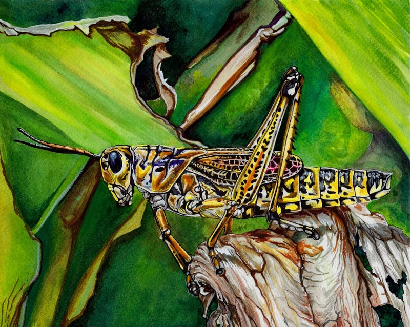 Karla-Noble-Lewis-Gallery-4-2